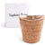 Vagabond House Replacement Hand Woven Rattan Wicker Champagne Bucket  / Ice Bucket