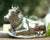 Vagabond House Garden Friends Mabel Cow Butter Dish